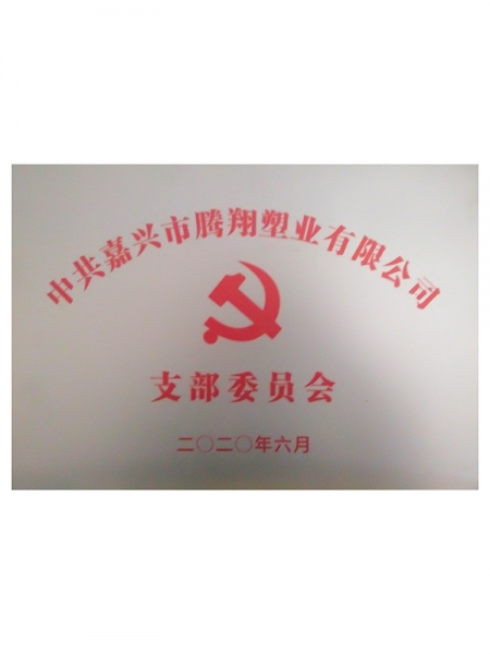 中共支部委員會